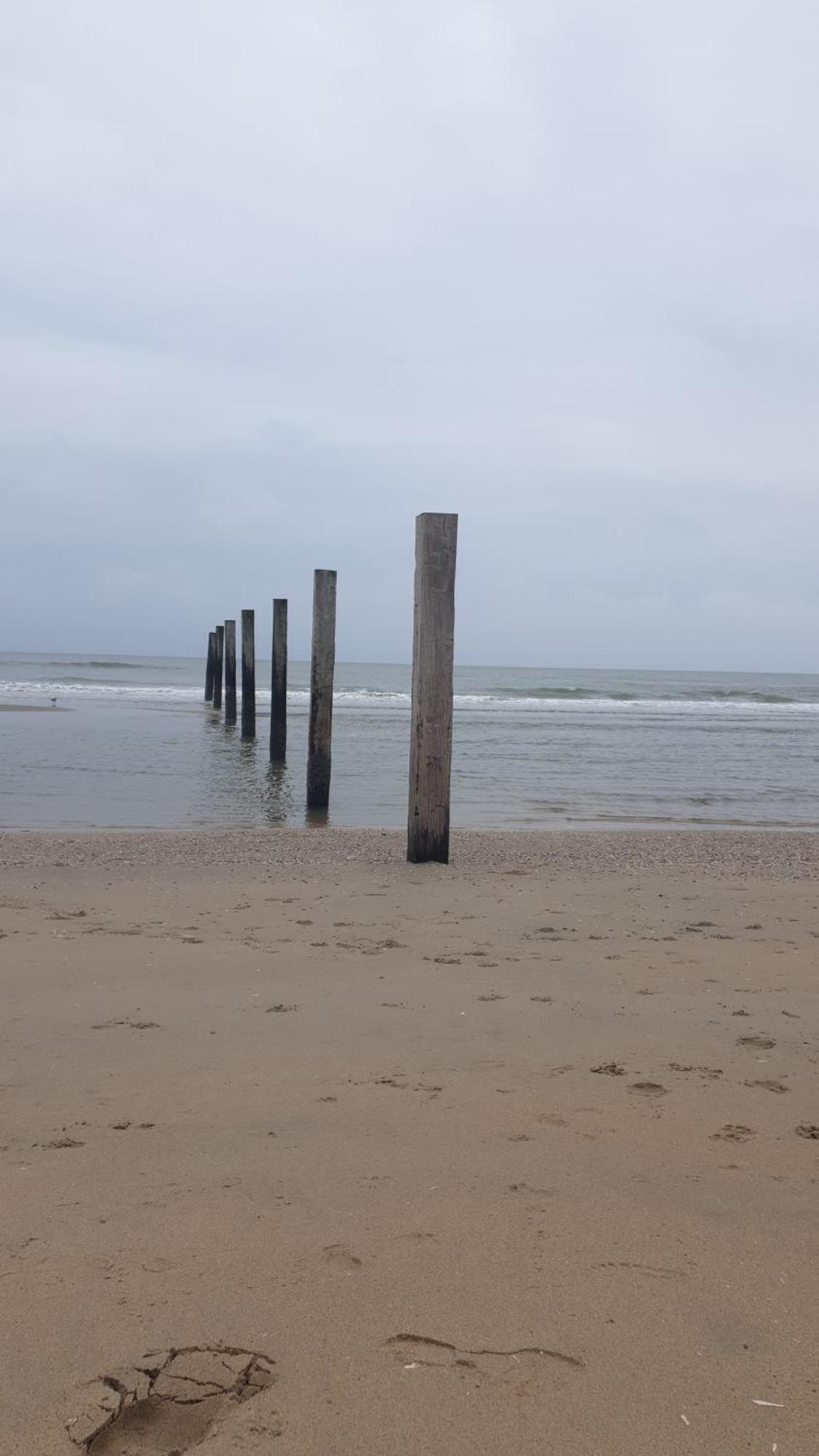 Rembrandts Beach View ซานด์โวร์ต ภายนอก รูปภาพ