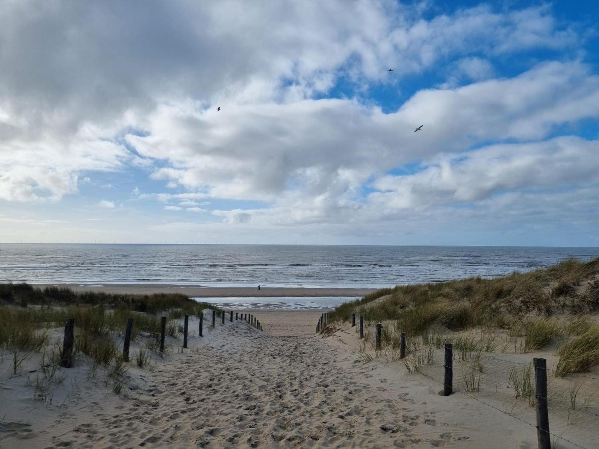 Rembrandts Beach View ซานด์โวร์ต ภายนอก รูปภาพ